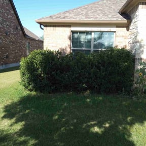 Bush Trimming by Greener Lawn Care LLC reviewed on August 15, 2025