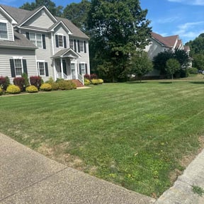 landscaping by Turfscapes reviewed on November 24, 2025