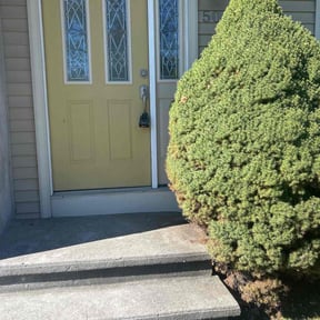 Bush Trimming by Music City Mowz reviewed on November 10, 2025