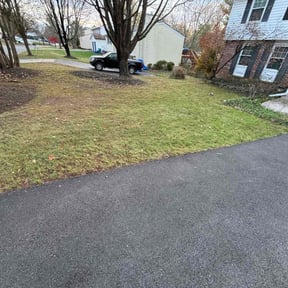 Leaf Removal by Lowe’s Lawn Care reviewed on August 19, 2025