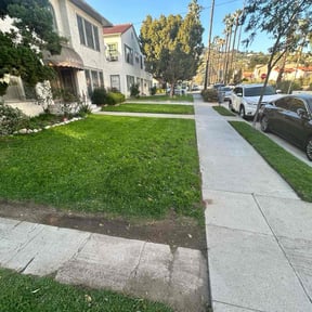 yard service by HPs gardening services reviewed on August 19, 2025