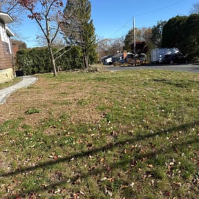 Leaf Removal by Jay&#039;s Resource reviewed on November 9, 2025