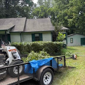 Bush Trimming by Theo's Lawn care reviewed on August 25, 2026