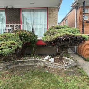 Bush Trimming by Robert Carreras Lawn Care reviewed on August 6, 2026