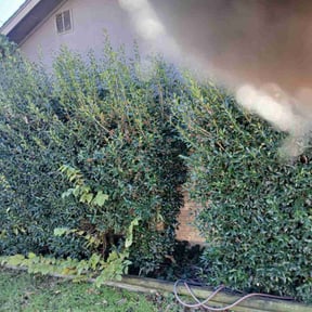 Bush Trimming by Cummings and Cummings Lawn Care reviewed on December 10, 2025