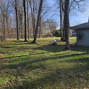 Leaf Removal by House ODonnell Ventures  reviewed on September 26, 2025