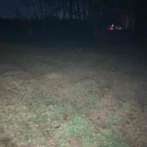 Leaf Removal by Dxd lawn care reviewed on November 24, 2025