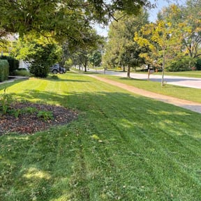 gardening service by Beautiful Home Services reviewed on August 20, 2025
