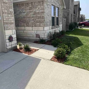 landscaping by Pressed4Time lawn care reviewed on August 21, 2025