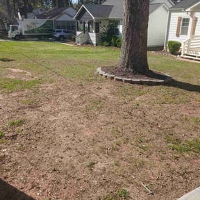 Leaf Removal by Tonys Landscaping LLC reviewed on March 25, 2026