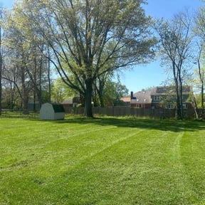 yard care by Reel Mowers reviewed on November 22, 2025