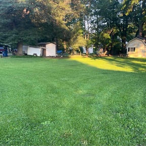 yard care by Awesome Lawns and More LLC reviewed on December 29, 2025