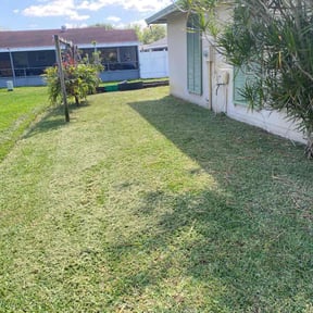 turf maintenance by Self Made Rich reviewed on June 16, 2023