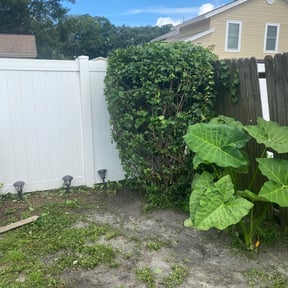 Bush Trimming by Greener Lawn Care reviewed on August 20, 2025