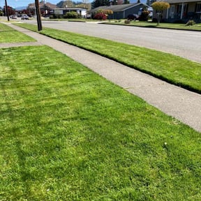 gardening service by GetYarded reviewed on August 16, 2025