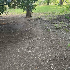 Leaf Removal by Get it done reviewed on July 19, 2026