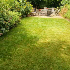 landscaping services by L&amp;P.inc reviewed on August 19, 2025