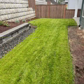 turf maintenance by Robert Norton’s Lawn Care reviewed on July 20, 2025