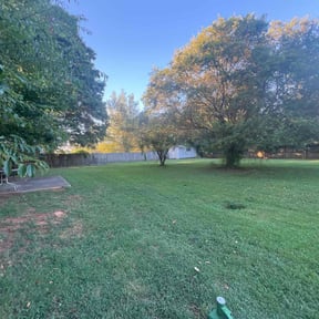 residential landscaping by Brother reviewed on August 17, 2025