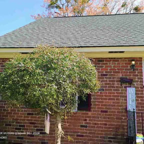 Bush Trimming by Flores Garden Landscapes reviewed on April 1, 2026