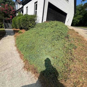 Flower Bed Weeding by Mustard Seed Mowing reviewed on July 4, 2026