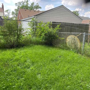 Bush Trimming by Don&#039;s lawn care  reviewed on November 23, 2025