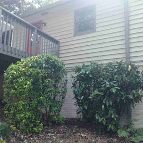 Bush Trimming by Green Guy Landscaping LLC reviewed on August 18, 2025