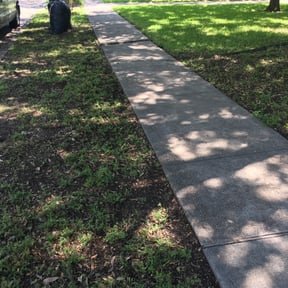 Leaf Removal by Lawns By Lopez reviewed on August 15, 2025