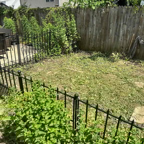 Bush Trimming by Chris’s Lawn Service reviewed on August 18, 2025