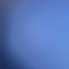 Bush Trimming by Aces reviewed on August 6, 2025