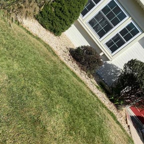 Bush Trimming by Terry Collins reviewed on August 15, 2025