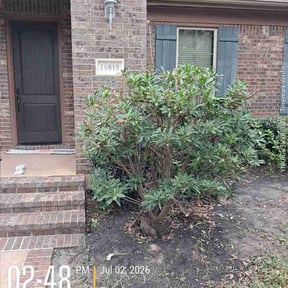 Bush Trimming by Enclave Landscape Management reviewed on July 8, 2026
