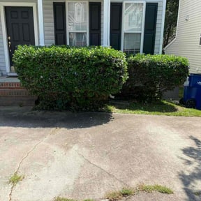 Bush Trimming by Helping Hands reviewed on August 16, 2025