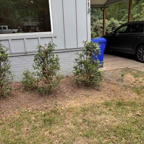 Bush Trimming by Yard Zén Landscaping reviewed on June 12, 2026