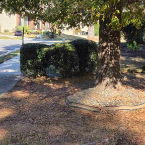 Bush Trimming by Willow Shade Industrial LLC reviewed on October 23, 2025