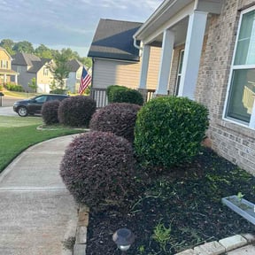Bush Trimming by Grass hopper reviewed on October 14, 2026