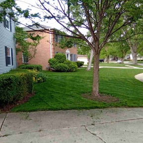 landscape maintenance by G&G landscaping LLC reviewed on August 18, 2025