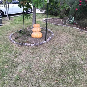 Bush Trimming by Nates Lawn Service reviewed on August 20, 2025
