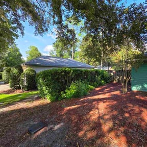 Leaf Removal by Carpenters Lawn Care reviewed on September 23, 2025