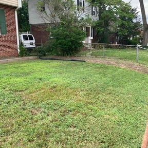 Flower Bed Weeding by gscutz reviewed on August 22, 2026