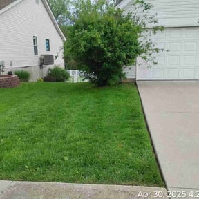 landscaping services by AC LAWNCARE reviewed on August 20, 2025