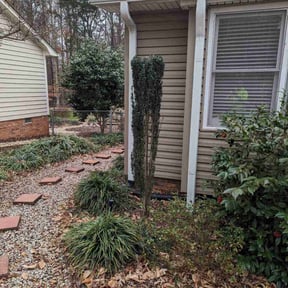 Bush Trimming by Leneirs Landscaping reviewed on August 17, 2025