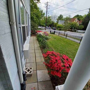 Bush Trimming by Bert's Landscaping and Propery Mantienance  reviewed on August 17, 2025