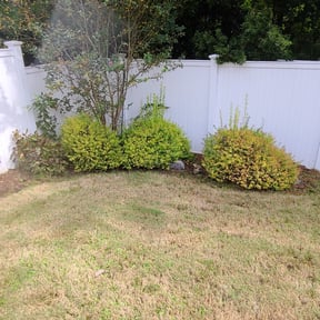 Flower Bed Weeding by Coral Leaf Landscaping reviewed on August 16, 2025