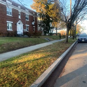 Leaf Removal by Locked in Lawn Care Services reviewed on September 22, 2025