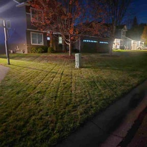 Leaf Removal by Shawns lawns reviewed on October 22, 2025