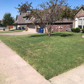 grass maintenance by Lawn Mow Bros reviewed on March 27, 2024