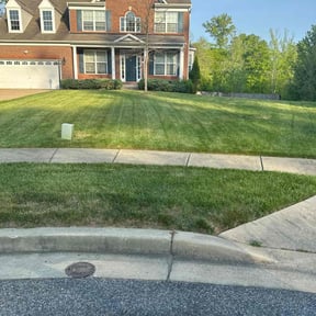 grass maintenance by Wilson’s Works reviewed on June 30, 2023