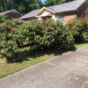 Flower Bed Weeding by GreenHand Landscaping reviewed on August 20, 2025