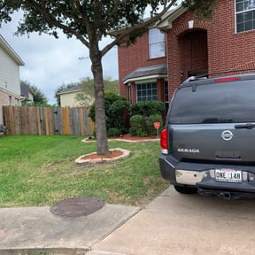 Bush Trimming by Brothers landscaping reviewed on August 21, 2025